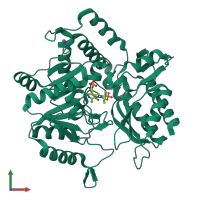 PDB entry 1m0o coloured by chain, front view.