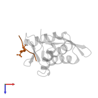 Src kinase-associated phosphoprotein 2 in PDB entry 1m0v, assembly 1, top view.