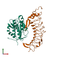 Hetero dimeric assembly 1 of PDB entry 1m10 coloured by chemically distinct molecules, front view.