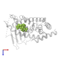 4-HYDROXY-5-ISOBUTYRYL-6-METHYL-1,3,7-TRIS-(3-METHYL-BUT-2-ENYL)-6-(4-METHYL-PENT-3-ENYL)-BICYCLO[3.3.1]NON-3-ENE-2,9-DIONE in PDB entry 1m13, assembly 1, top view.