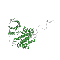 The deposited structure of PDB entry 1m14 contains 1 copy of Pfam domain PF07714 (Protein tyrosine and serine/threonine kinase) in Epidermal growth factor receptor. Showing 1 copy in chain A.