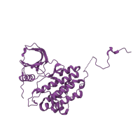 The deposited structure of PDB entry 1m14 contains 1 copy of SCOP domain 88854 (Protein kinases, catalytic subunit) in Epidermal growth factor receptor. Showing 1 copy in chain A.