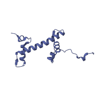 The deposited structure of PDB entry 1m18 contains 2 copies of SCOP domain 47114 (Nucleosome core histones) in Histone H2A type 1. Showing 1 copy in chain E [auth C].