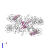 4-AMINO-(1-METHYLPYRROLE)-2-CARBOXYLIC ACID in PDB entry 1m19, assembly 1, top view.