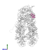 4-AMINO-(1-METHYLPYRROLE)-2-CARBOXYLIC ACID in PDB entry 1m1a, assembly 1, side view.