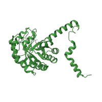 The deposited structure of PDB entry 1m1b contains 2 copies of SCOP domain 88704 (Phosphoenolpyruvate mutase/Isocitrate lyase-like) in Phosphoenolpyruvate phosphomutase. Showing 1 copy in chain A.