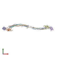 PDB entry 1m1j coloured by chain, front view.