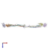 PDB entry 1m1j coloured by chain, top view.