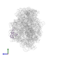 Large ribosomal subunit protein uL24 in PDB entry 1m1k, assembly 1, side view.