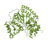 The deposited structure of PDB entry 1m1n contains 4 copies of SCOP domain 53816 (Nitrogenase iron-molybdenum protein) in Nitrogenase molybdenum-iron protein alpha chain. Showing 1 copy in chain A.