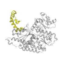 The deposited structure of PDB entry 1m1n contains 4 copies of Pfam domain PF11844 (Domain of unknown function (DUF3364)) in Nitrogenase molybdenum-iron protein beta chain. Showing 1 copy in chain B.