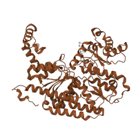 The deposited structure of PDB entry 1m1n contains 4 copies of SCOP domain 53816 (Nitrogenase iron-molybdenum protein) in Nitrogenase molybdenum-iron protein beta chain. Showing 1 copy in chain B.