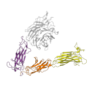 The deposited structure of PDB entry 1m1x contains 3 copies of SCOP domain 69180 (Integrin domains) in Integrin alpha-V. Showing 3 copies in chain A.