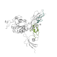 The deposited structure of PDB entry 1m1x contains 2 copies of SCOP domain 69940 (Integrin beta EGF-like domains) in Integrin beta-3. Showing 2 copies in chain B.