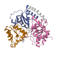 The deposited structure of PDB entry 1m1y contains 12 copies of CATH domain 3.40.50.1980 (Rossmann fold) in Nitrogenase molybdenum-iron protein alpha chain. Showing 3 copies in chain A.