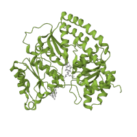 The deposited structure of PDB entry 1m1y contains 4 copies of SCOP domain 53816 (Nitrogenase iron-molybdenum protein) in Nitrogenase molybdenum-iron protein alpha chain. Showing 1 copy in chain A.