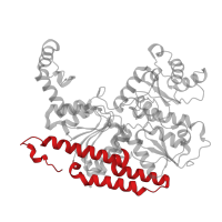 The deposited structure of PDB entry 1m1y contains 4 copies of CATH domain 1.20.89.10 (Nitrogenase Molybdenum-iron Protein, subunit B; domain 4) in Nitrogenase molybdenum-iron protein beta chain. Showing 1 copy in chain B.