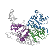 The deposited structure of PDB entry 1m1y contains 12 copies of CATH domain 3.40.50.1980 (Rossmann fold) in Nitrogenase molybdenum-iron protein beta chain. Showing 3 copies in chain B.