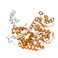 The deposited structure of PDB entry 1m1y contains 4 copies of Pfam domain PF00148 (Nitrogenase component 1 type Oxidoreductase) in Nitrogenase molybdenum-iron protein beta chain. Showing 1 copy in chain B.