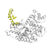 The deposited structure of PDB entry 1m1y contains 4 copies of Pfam domain PF11844 (Domain of unknown function (DUF3364)) in Nitrogenase molybdenum-iron protein beta chain. Showing 1 copy in chain B.