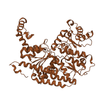 The deposited structure of PDB entry 1m1y contains 4 copies of SCOP domain 53816 (Nitrogenase iron-molybdenum protein) in Nitrogenase molybdenum-iron protein beta chain. Showing 1 copy in chain B.