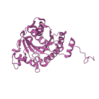 The deposited structure of PDB entry 1m1y contains 8 copies of CATH domain 3.40.50.300 (Rossmann fold) in Nitrogenase iron protein 1. Showing 1 copy in chain F.