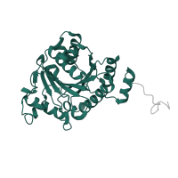 The deposited structure of PDB entry 1m1y contains 8 copies of Pfam domain PF00142 (4Fe-4S iron sulfur cluster binding proteins, NifH/frxC family) in Nitrogenase iron protein 1. Showing 1 copy in chain F.