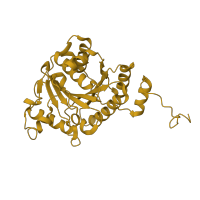The deposited structure of PDB entry 1m1y contains 8 copies of SCOP domain 52652 (Nitrogenase iron protein-like) in Nitrogenase iron protein 1. Showing 1 copy in chain F.