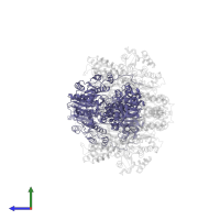 Nitrogenase iron protein 1 in PDB entry 1m1y, assembly 1, side view.