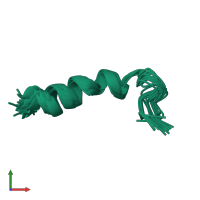 PDB entry 1m25 coloured by chain, ensemble of 20 models, front view.