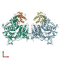 PDB entry 1m2o coloured by chain, front view.