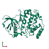 Casein kinase II subunit alpha in PDB entry 1m2q, assembly 1, front view.