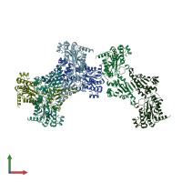 PDB entry 1m35 coloured by chain, front view.