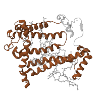 The deposited structure of PDB entry 1m3x contains 1 copy of Pfam domain PF00124 (Photosynthetic reaction centre protein) in Reaction center protein M chain. Showing 1 copy in chain B [auth M].