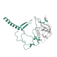 The deposited structure of PDB entry 1m3x contains 1 copy of Pfam domain PF03967 (Photosynthetic reaction centre, H-chain N-terminal region) in Reaction center protein H chain. Showing 1 copy in chain C [auth H].