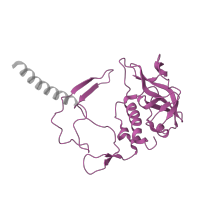 The deposited structure of PDB entry 1m3x contains 1 copy of SCOP domain 50347 (Photosynthetic reaction centre, H-chain, cytoplasmic domain) in Reaction center protein H chain. Showing 1 copy in chain C [auth H].