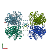 PDB entry 1m4t coloured by chain, front view.