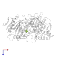 ACETATE ION in PDB entry 1m51, assembly 1, top view.
