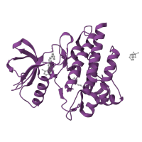 The deposited structure of PDB entry 1m52 contains 2 copies of SCOP domain 88854 (Protein kinases, catalytic subunit) in Tyrosine-protein kinase ABL1. Showing 1 copy in chain B.