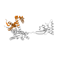 The deposited structure of PDB entry 1m5y contains 4 copies of Pfam domain PF09312 (SurA N-terminal domain) in Chaperone SurA. Showing 1 copy in chain D.