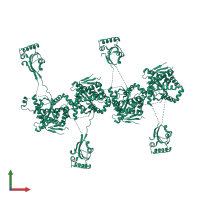 Chaperone SurA in PDB entry 1m5y, assembly 1, front view.