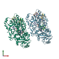 PDB entry 1m64 coloured by chain, front view.