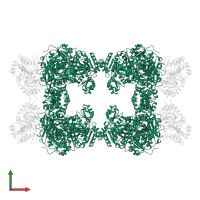 Carbamoyl phosphate synthase large chain in PDB entry 1m6v, assembly 1, front view.