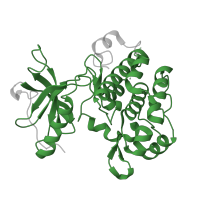 The deposited structure of PDB entry 1m7n contains 2 copies of Pfam domain PF07714 (Protein tyrosine and serine/threonine kinase) in Insulin-like growth factor 1 receptor beta chain. Showing 1 copy in chain A.