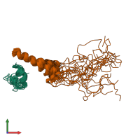 PDB entry 1m8o coloured by chain, ensemble of 20 models, front view.