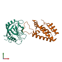 Hetero dimeric assembly 1 of PDB entry 1m9e coloured by chemically distinct molecules, front view.