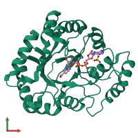 PDB entry 1m9h coloured by chain, front view.