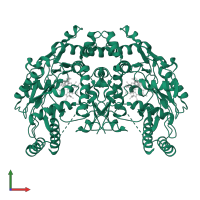 Nitric oxide synthase 3 in PDB entry 1m9k, assembly 1, front view.