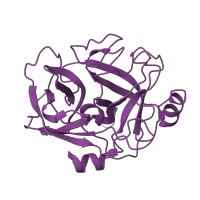 The deposited structure of PDB entry 1m9u contains 3 copies of SCOP domain 50514 (Eukaryotic proteases) in Peptidase S1 domain-containing protein. Showing 1 copy in chain A.