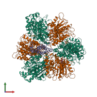 Hetero heptameric assembly 1 of PDB entry 1mab coloured by chemically distinct molecules, front view.